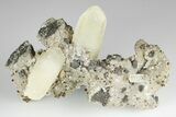 Hexagonal Calcite, Chalcopyrite and Galena Association - Missouri #193780-1